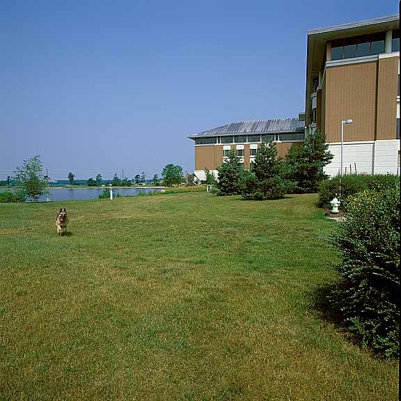 Turf Reinforcement was installed in the fire lane access areas at the Kane County Judicial Center, Geneva, Illinois, using Grasspave2.