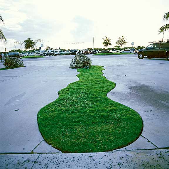Porous Pavement was installed in cut out spaces in the large truck and boat display area using Grasspave2.