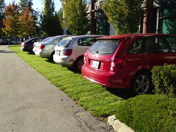 Grid paver was installed in parking areas at the Crestwood Corporation in Richmond, British Columbia, using Grasspave2.