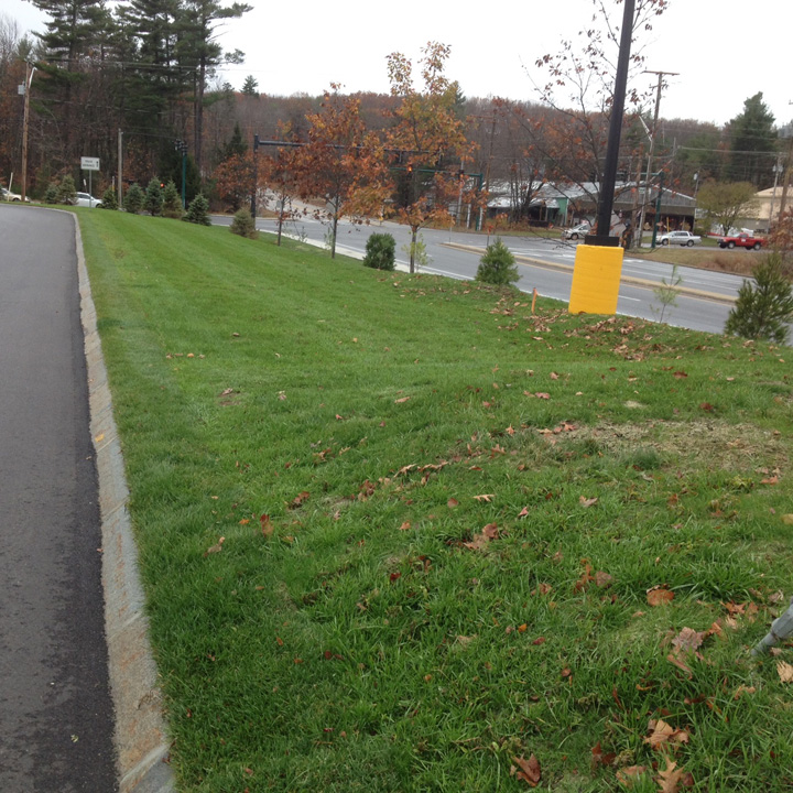 A berm area separates the Grasspave2 parking area from other landscaping.