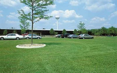 The Pros and Cons of a Grass Parking Area
